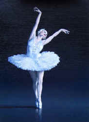 Bruce_Blue_Ballerina.jpg (39952 bytes)