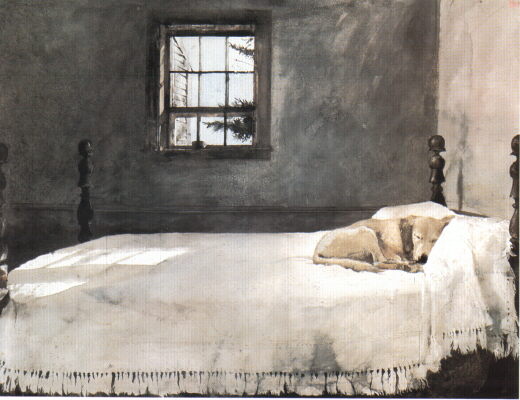 Resultado de imagem para IMAGENS ANDREW WYETH