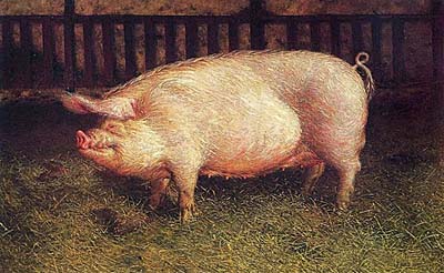 James Wyeth - Portrait of Pig