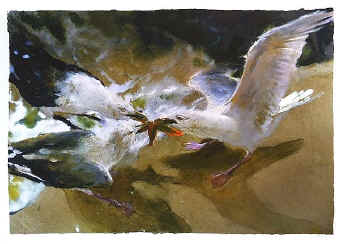 sea_battle_James_Jamie_Wyeth_print_gull_seagull.jpg (68980 bytes)