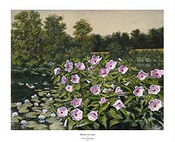 Winterthur Pond - Paul Scarborough