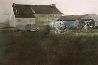 Marsh_Hawk_Andrew_Wyeth.jpg (41659 bytes)