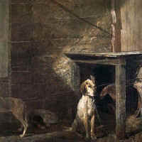 raccoon_andrew_wyeth.jpg (42033 bytes)