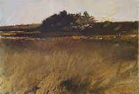 salt_marshes_andrew_wyeth.jpg (57613 bytes)