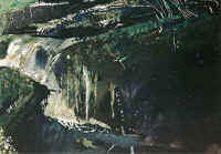 waterfall_andrew_wyeth.jpg (46272 bytes)