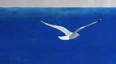 Gull - robert stack gouache painting