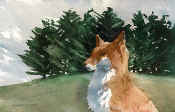 fox_sketch.jpg (36501 bytes)