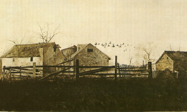 Andrew wyeth in chadds ford #6