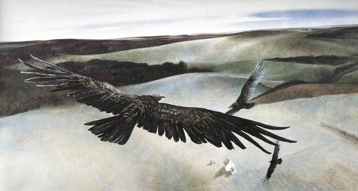 Andrew wyeth in chadds ford #7