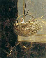 chicken_basket_James_Jamie_Wyeth_print.jpg (54581 bytes)