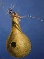 dragonfly_James_Jamie_Wyeth_print_gourd_purple_martin.jpg (59267 bytes)