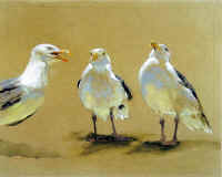 gulls_haggling_James_Jamie_Wyeth_print.jpg (74587 bytes)