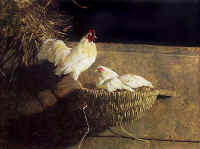 leghorns_James_Jamie_Wyeth_chicken_print.jpg (74671 bytes)